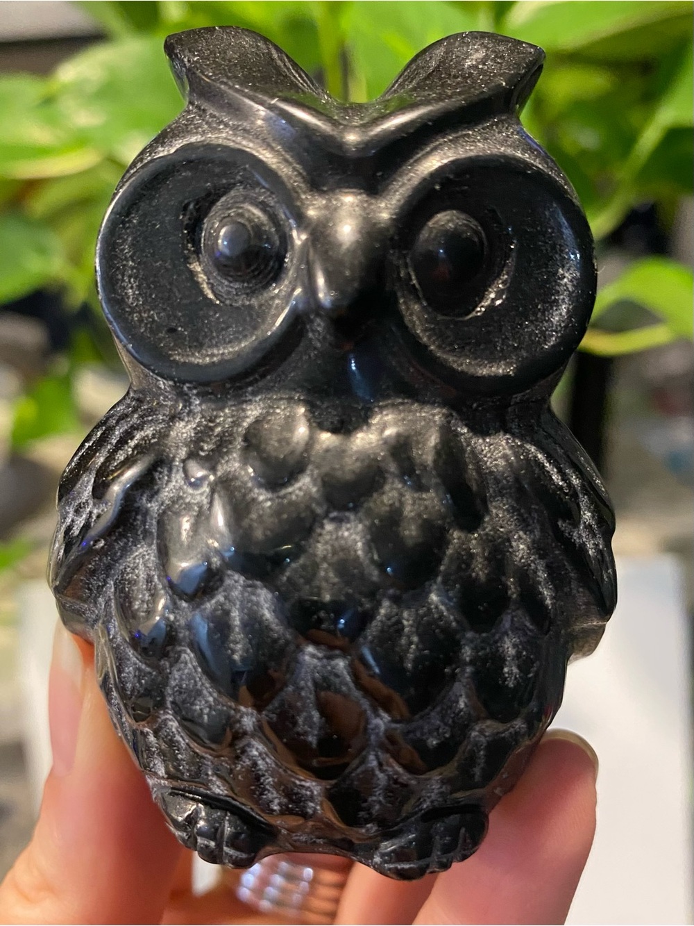 🦉✨ Wise Owl, Powerful Protection! ✨🖤